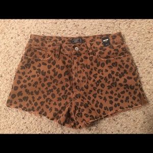 Leopard shorts